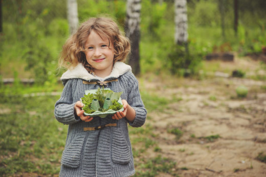 outdoor-explorers-natures-classroom